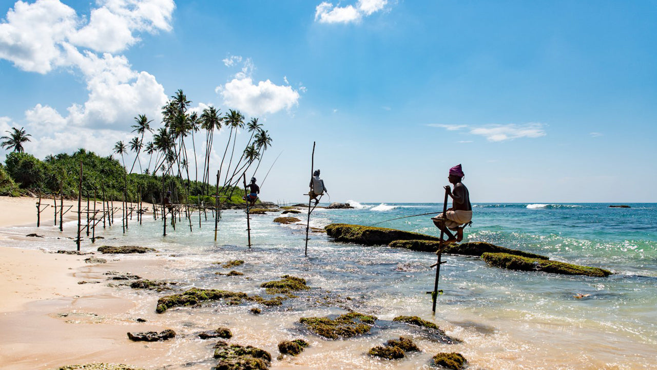 Activities from Aluthgama