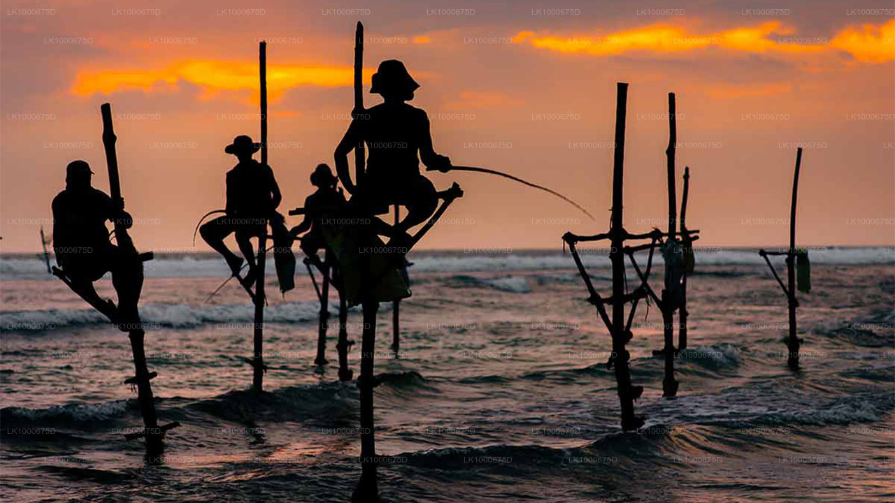 Handungoda and Galle from Dikwella City (Private Day Tour)