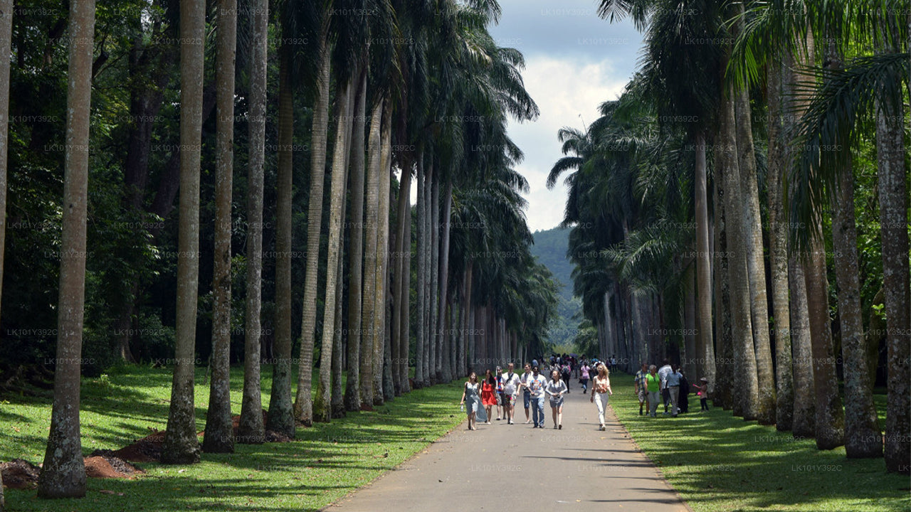 Culture of the Hills Tour from Bentota (2 Days)