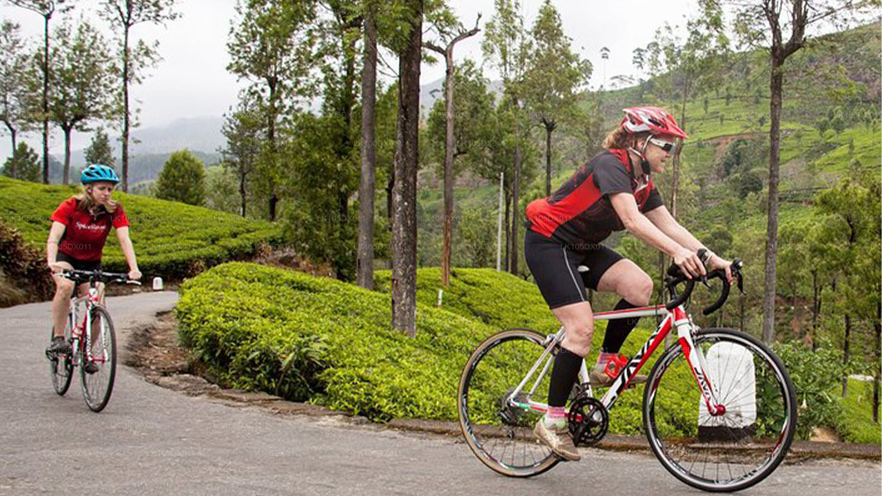 Cycling Tour to Hill Country (5 Days)