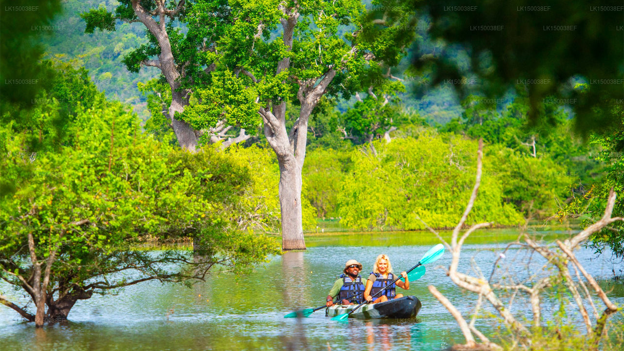 Kulu Safaris, Yala