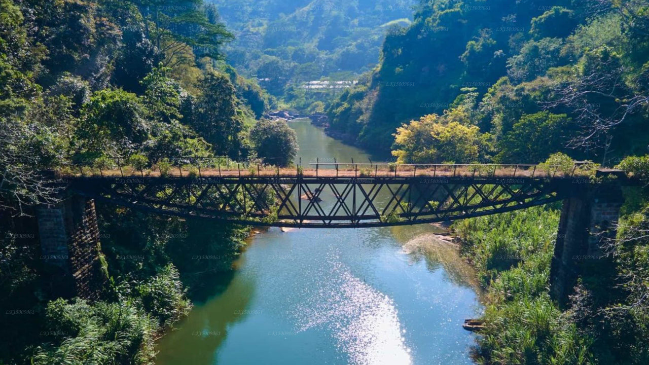 Holistic Villas River, Kandy