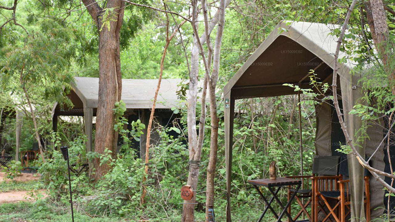 Big Game Camps and Lodges, Yala