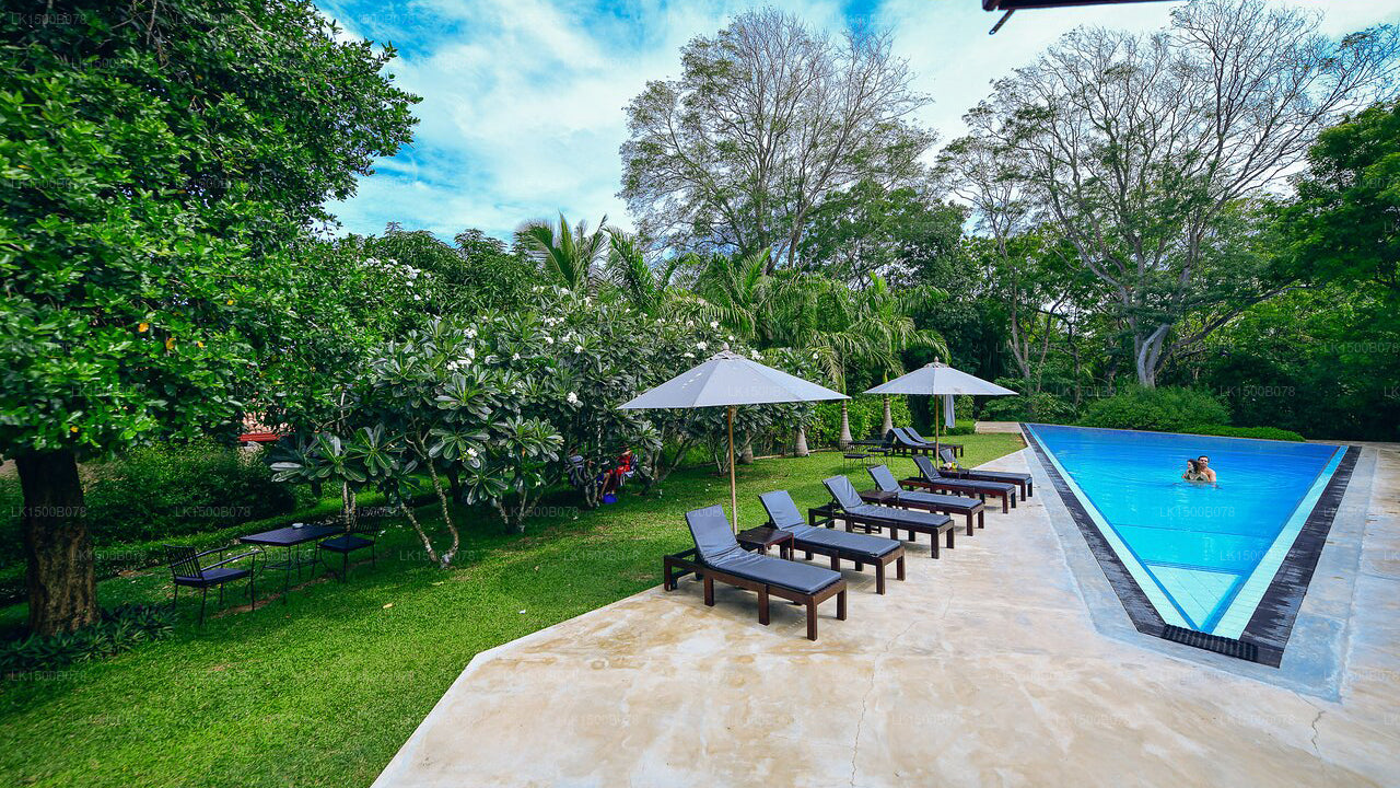 Palm Paradise Cabanas, Tangalle