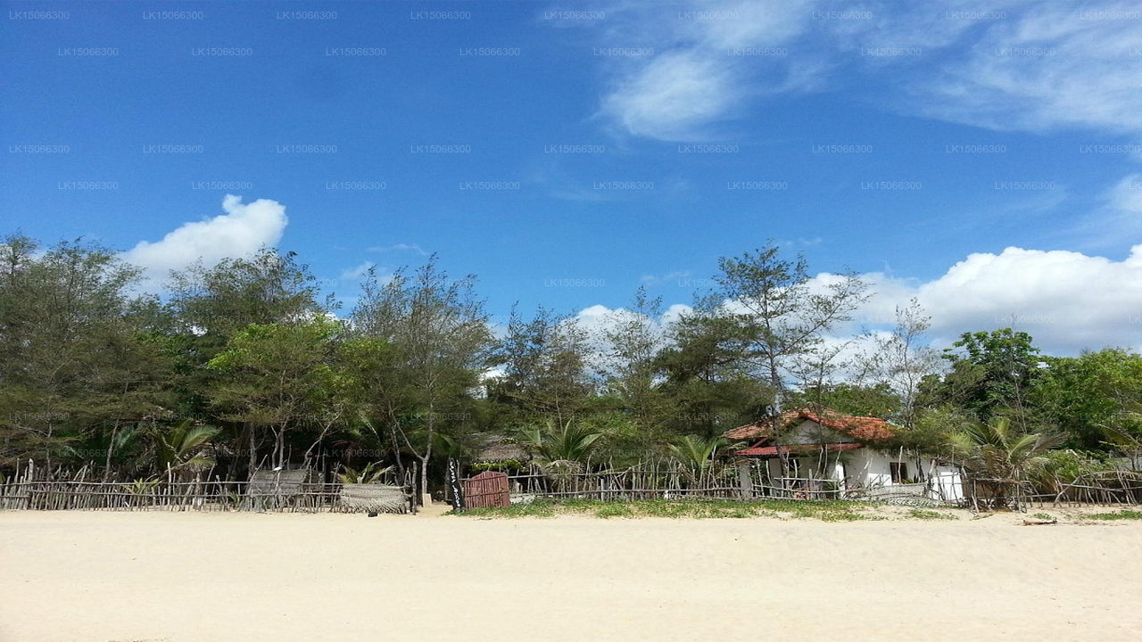 Galaxy Lounge, Arugam Bay