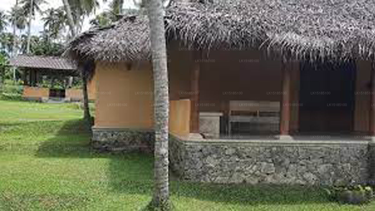 Palm Villa, Biyagama