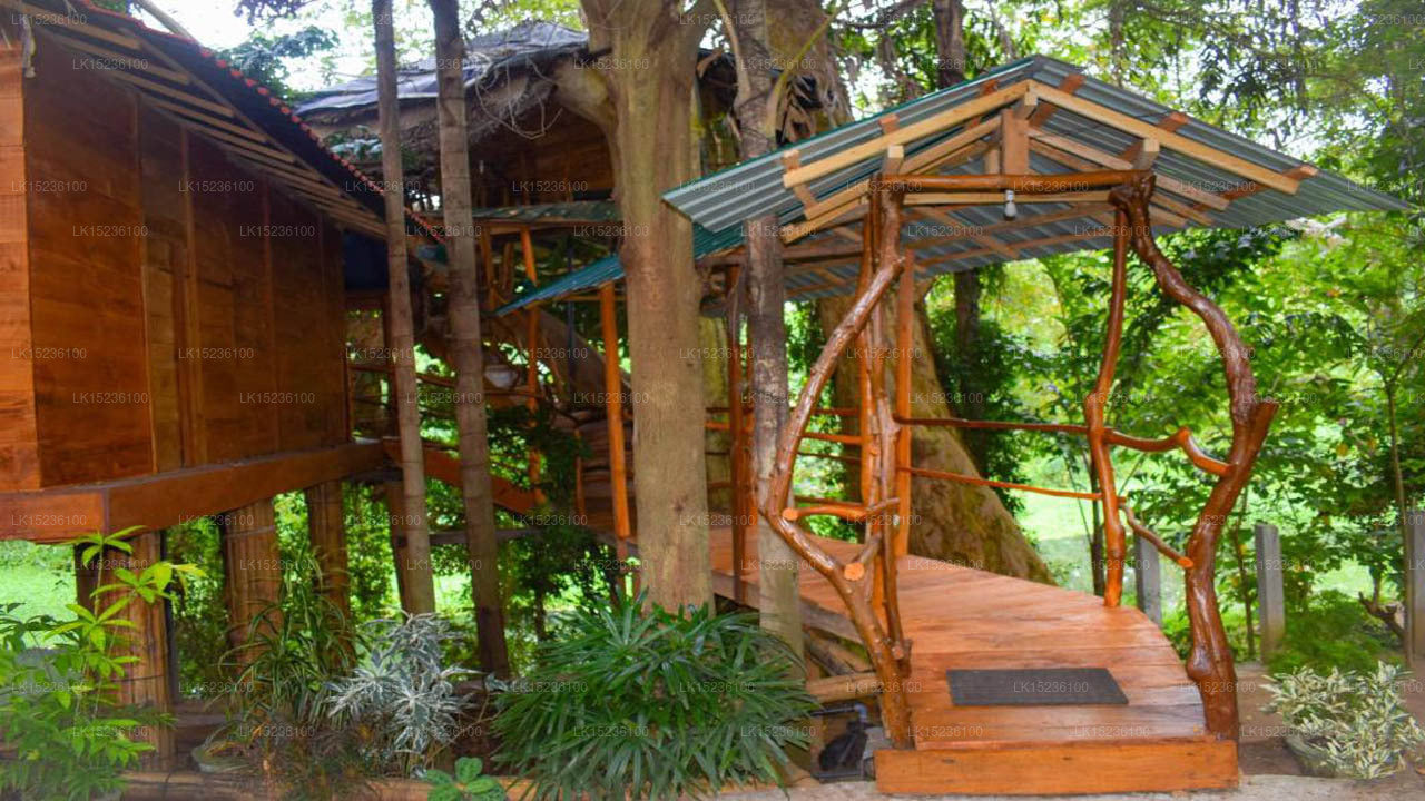 Villa Kumbuk Tree House, Tissamaharama