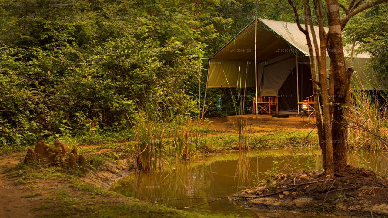 Eco Team Safari Camps Yala