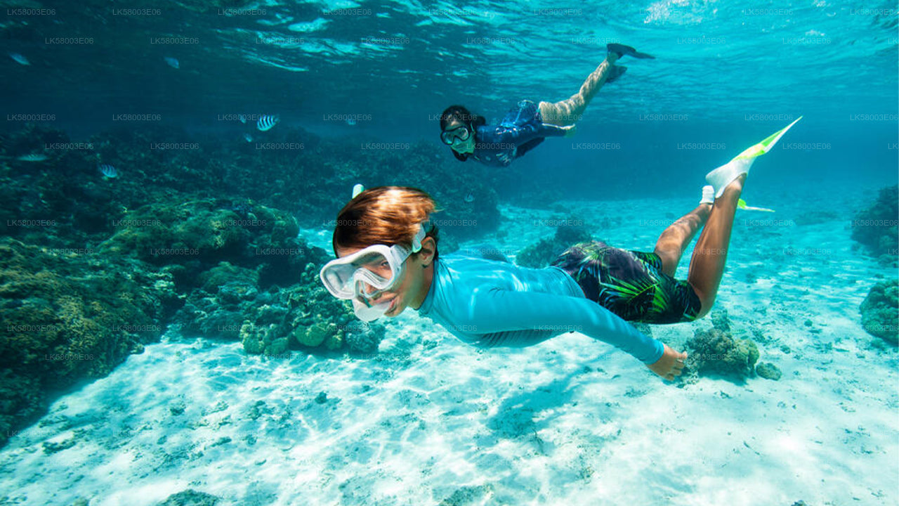 Snorkeling from Unawatuna