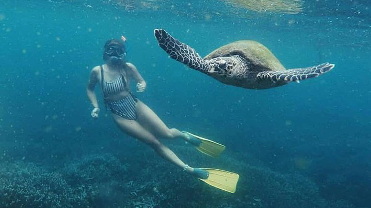 Snorkeling with Turtles From Mirissa