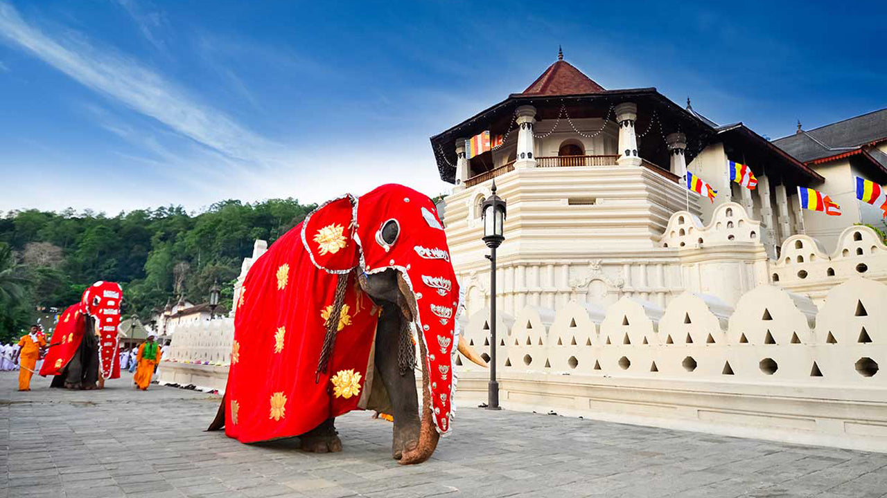 Temple of the Tooth with a Local