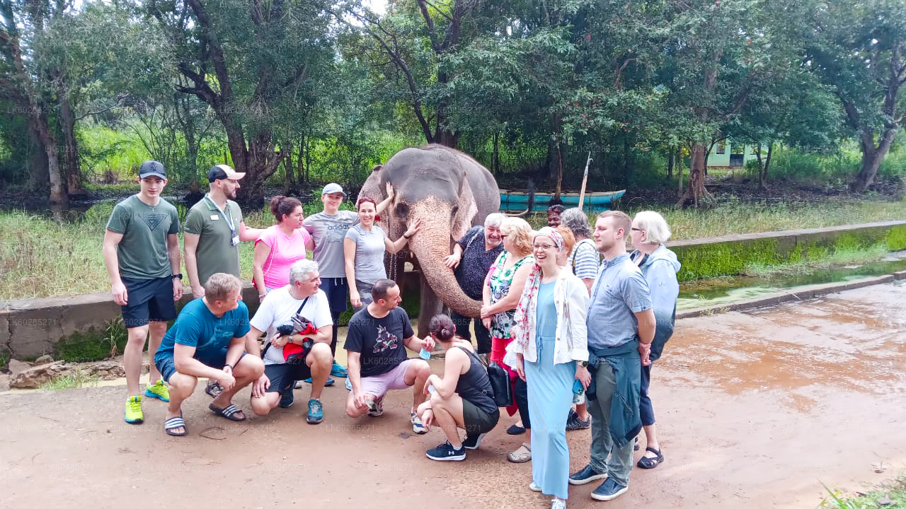 Elephant Back Safari from Sigiriya