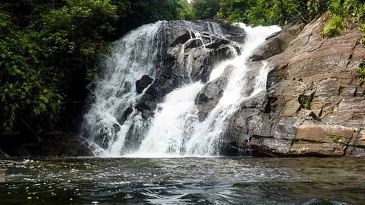 Sinharaja Rain Forest Water Fall Tour