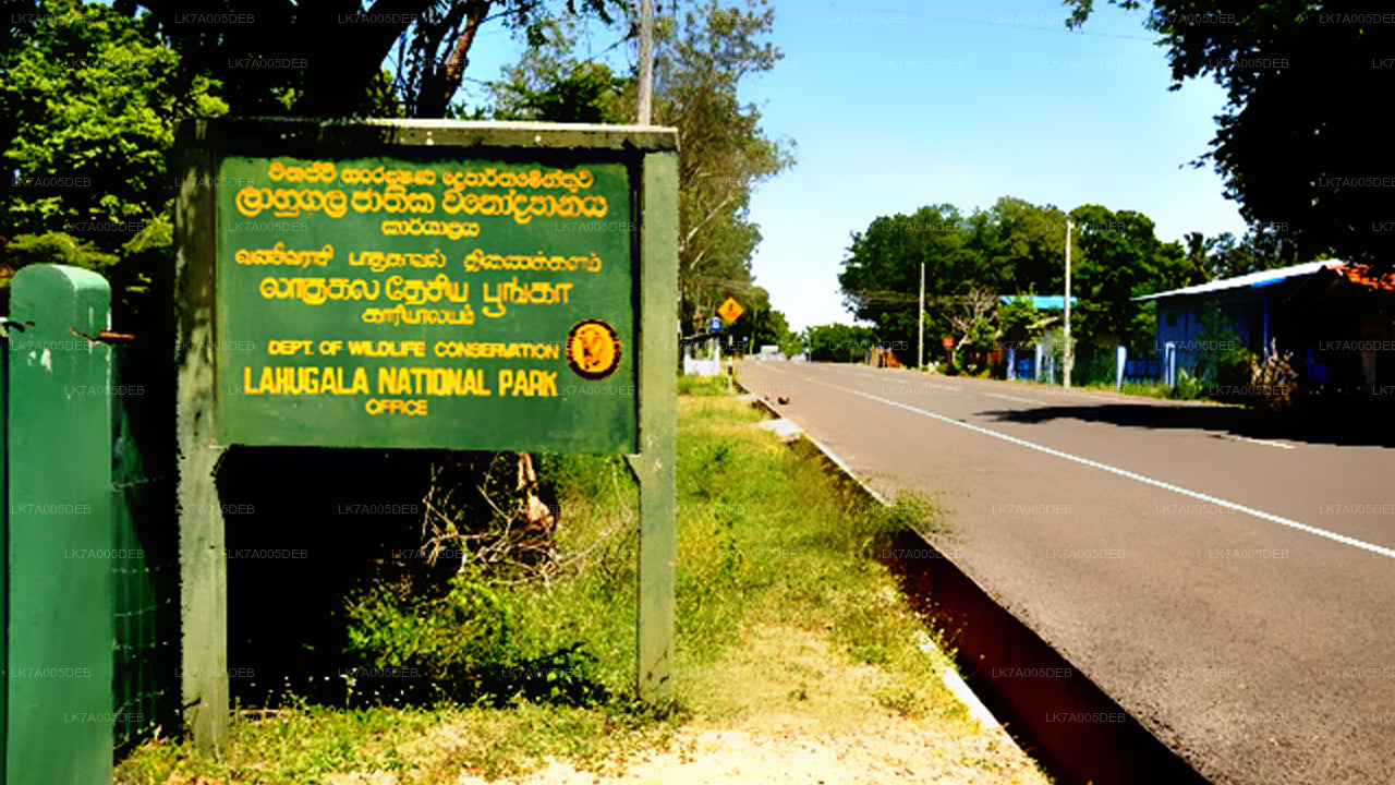 Lahugala Kitulana National Park Entrance Ticket