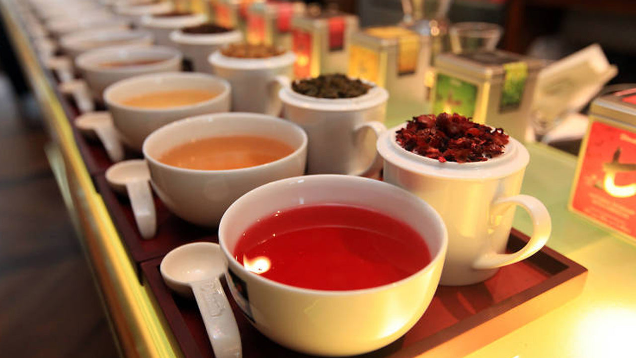 Ceylon Tea Tasting in Colombo