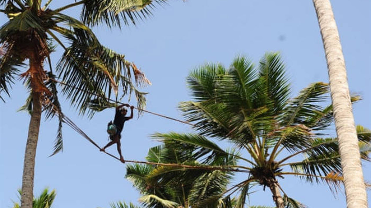 Toddy Exploring Tour from Negombo