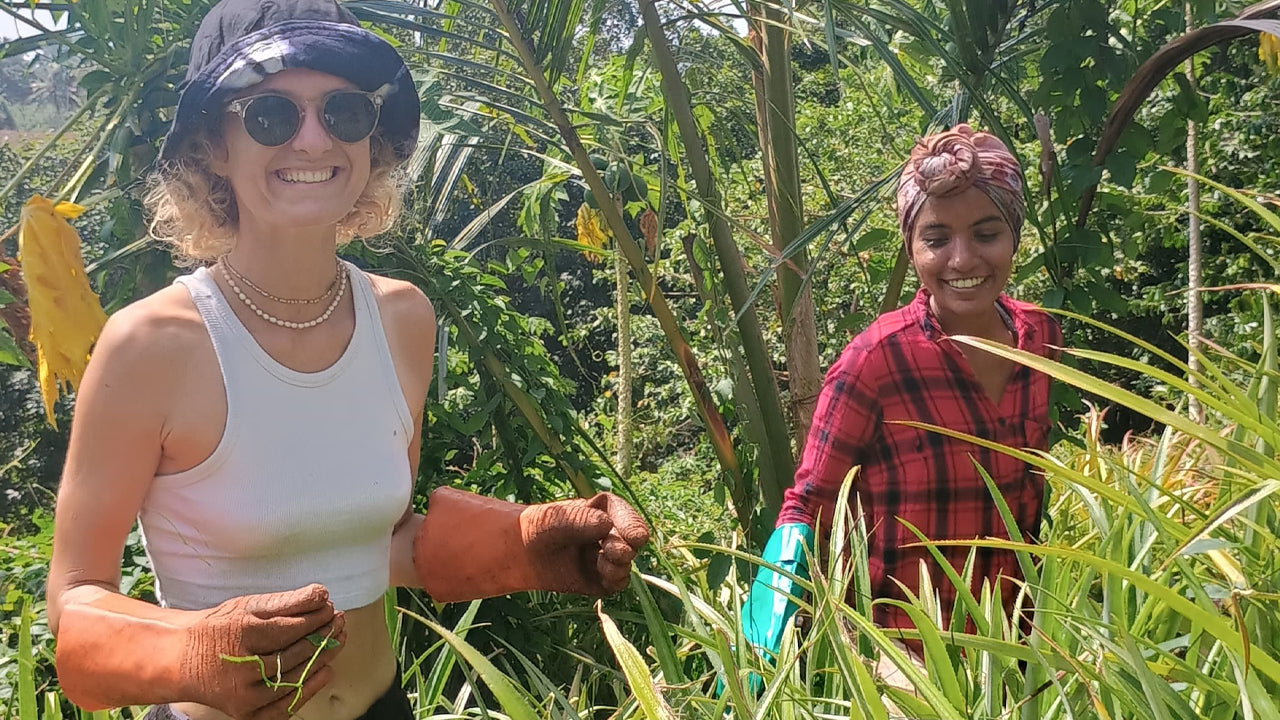 Discover Biodiversity at Midigama Fruit Farm