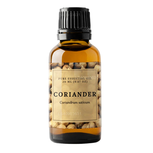 Lakpura Coriander Essential Oil (20ml)