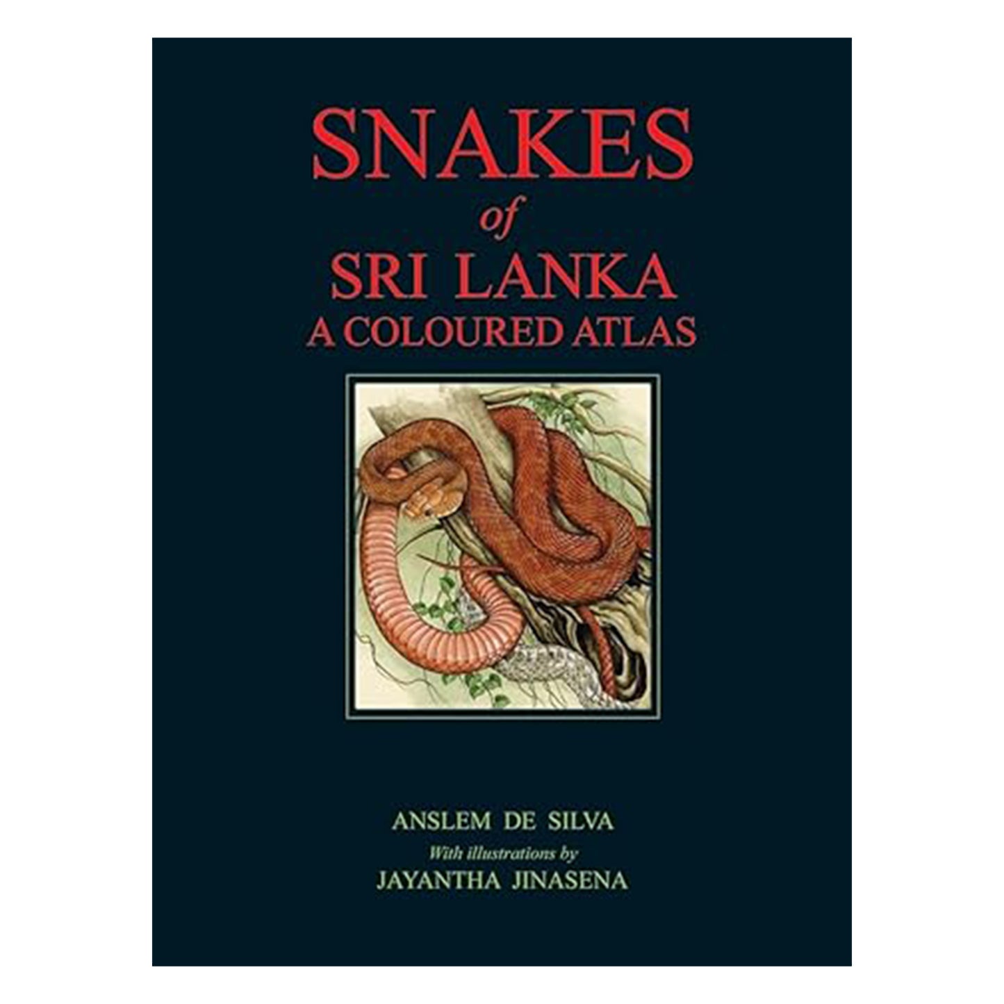 Snakes Of Sri Lanka