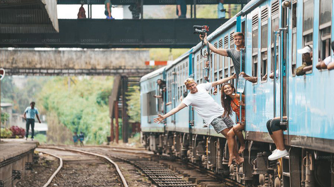 Discover Serendib by Rail (8 Days)