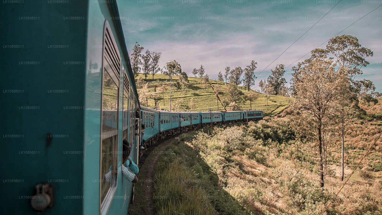 Discover Serendib by Rail (8 Days)