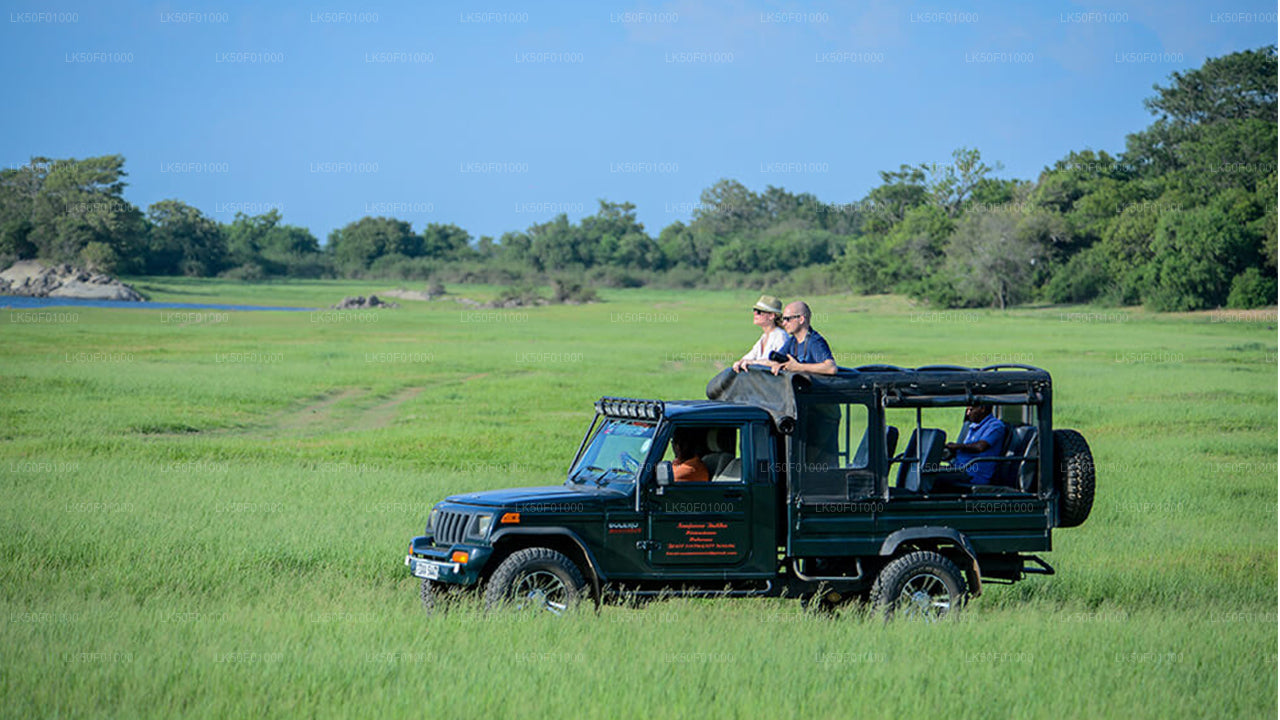 Wilpattu National Park Private Safari