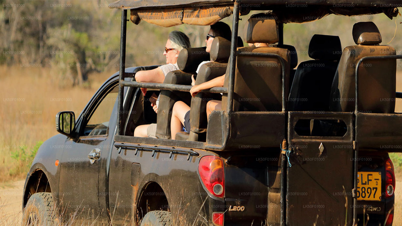 Wilpattu National Park Private Safari