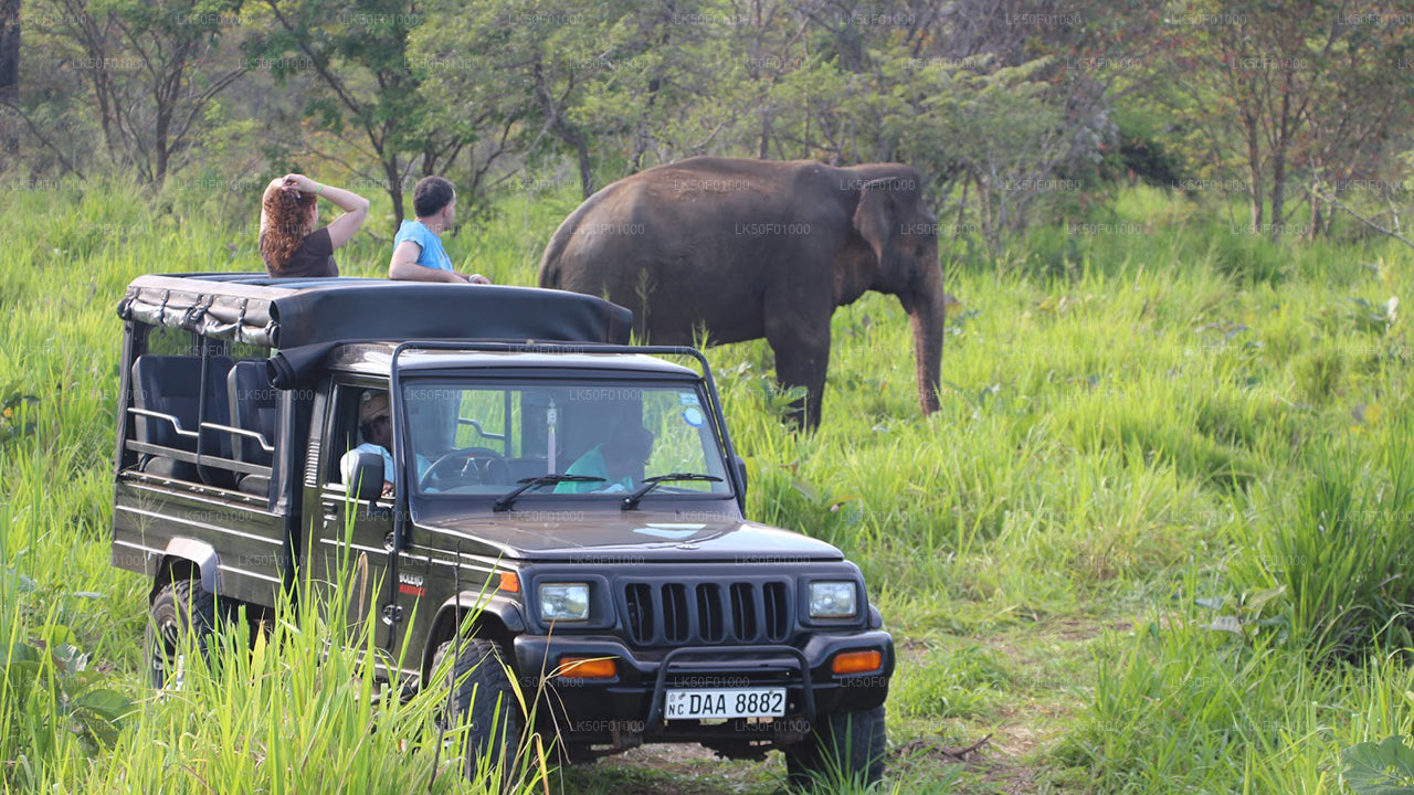 Wilpattu National Park Private Safari