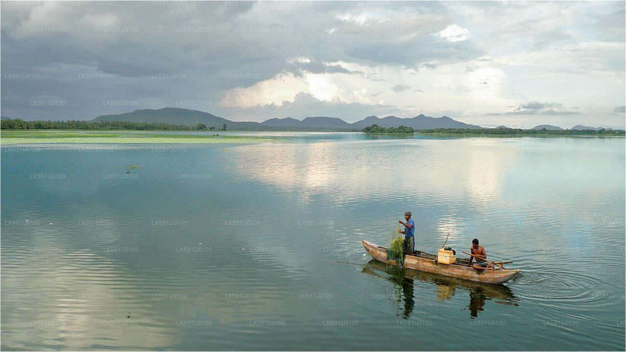 Lake Fishing from Polonnaruwa