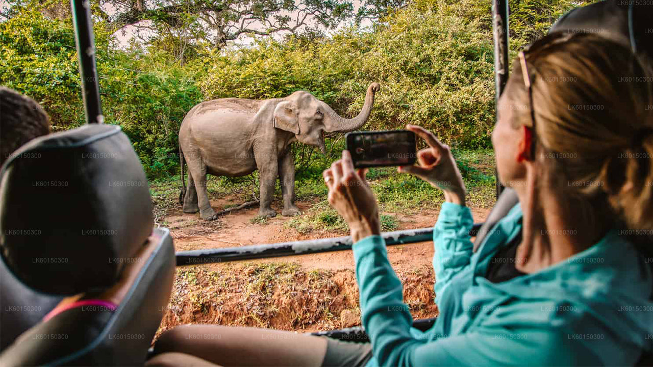 Yala National Park Safari from Tangalle