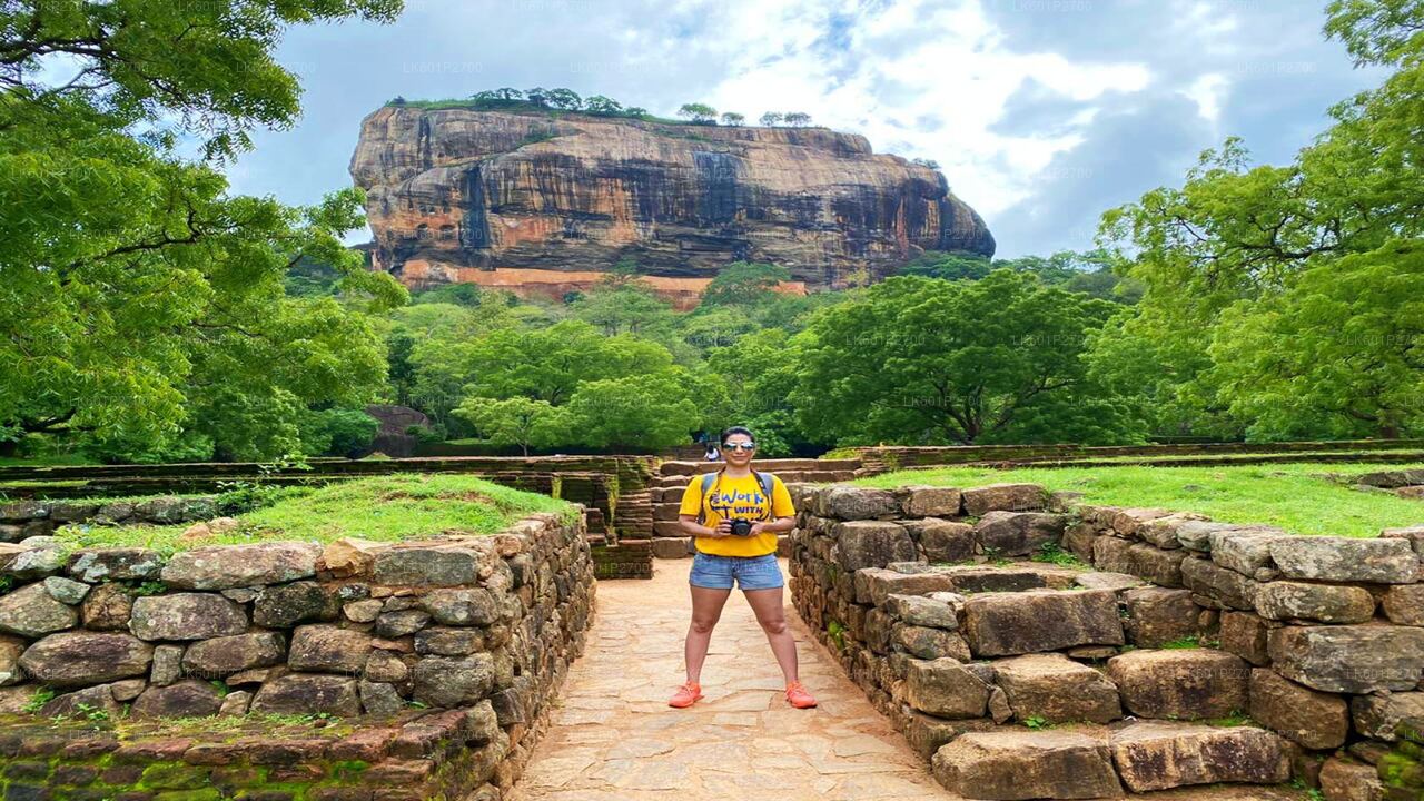 Sigiriya Rock and Wild Elephant Safari from Negombo