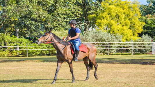 Horse Riding for Professionals from Sigiriya