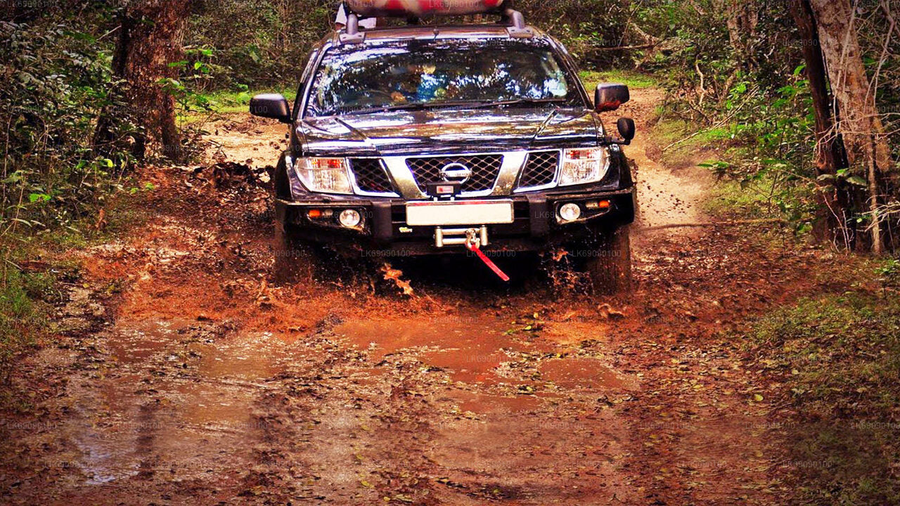 Ella Highland Highlights 4WD Tour from Ella