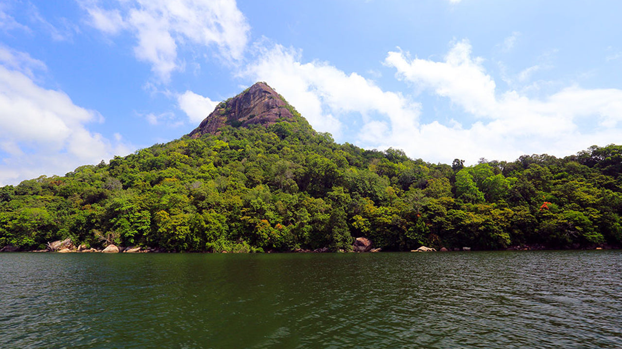 Gal Oya National Park Entrance Tickets