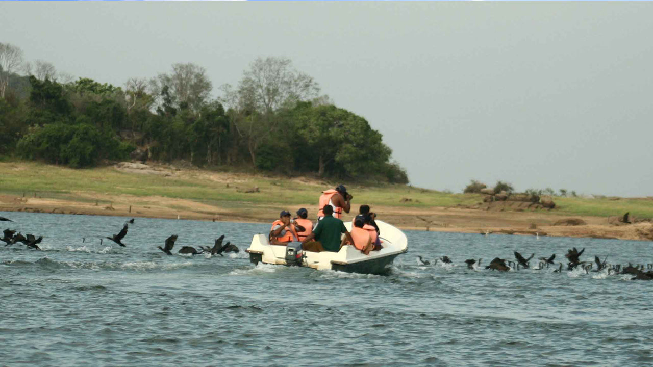 Gal Oya National Park Entrance Tickets