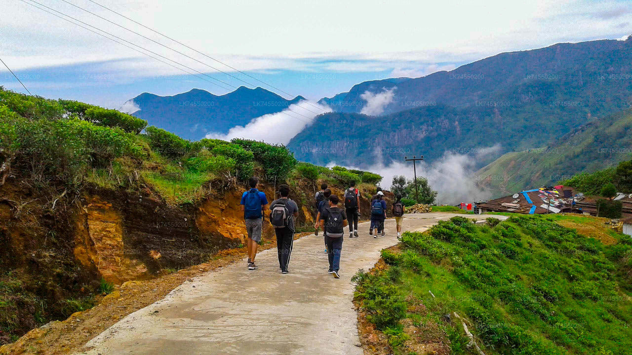 Devil's Staircase Hike from Ohiya