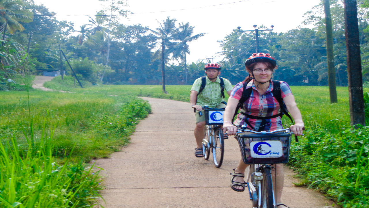 Countryside by Bicycle from Galle