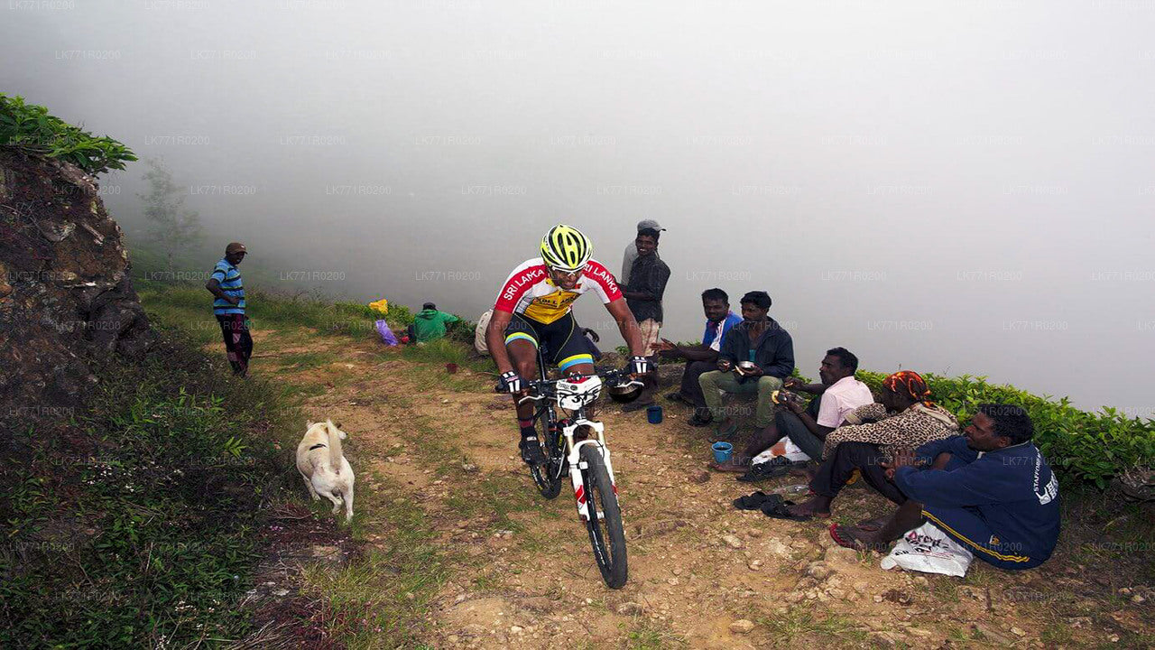 Tea Trails by Bicycle from Nuwara Eliya