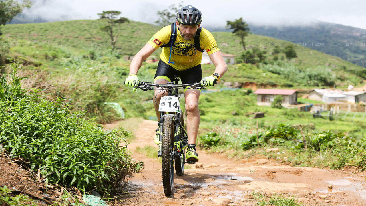 Tea Trails by Bicycle from Nuwara Eliya