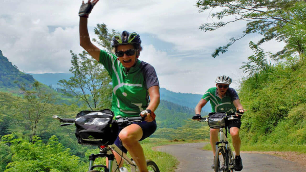 Tea Trails by Bicycle from Nuwara Eliya