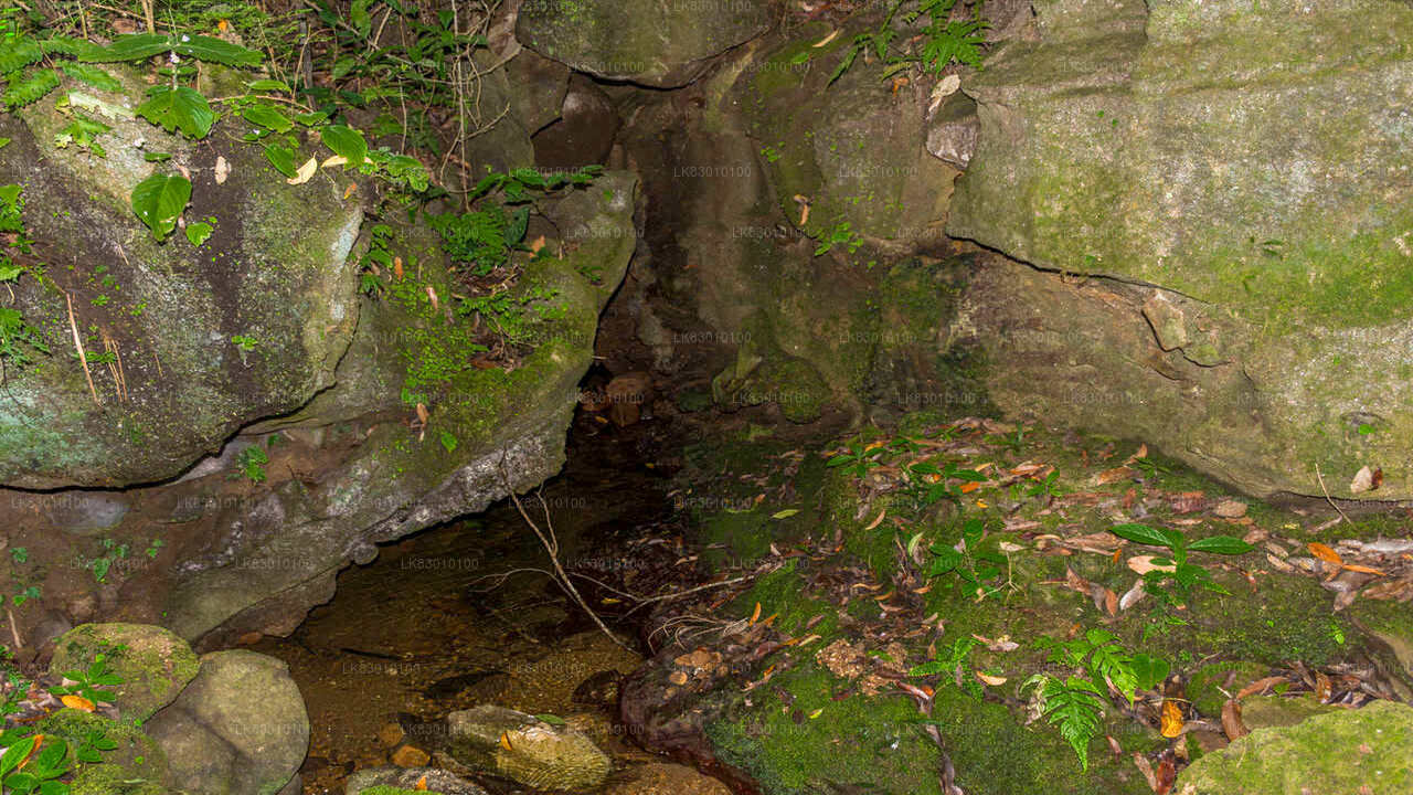 Explore Pannila Cave from Colombo