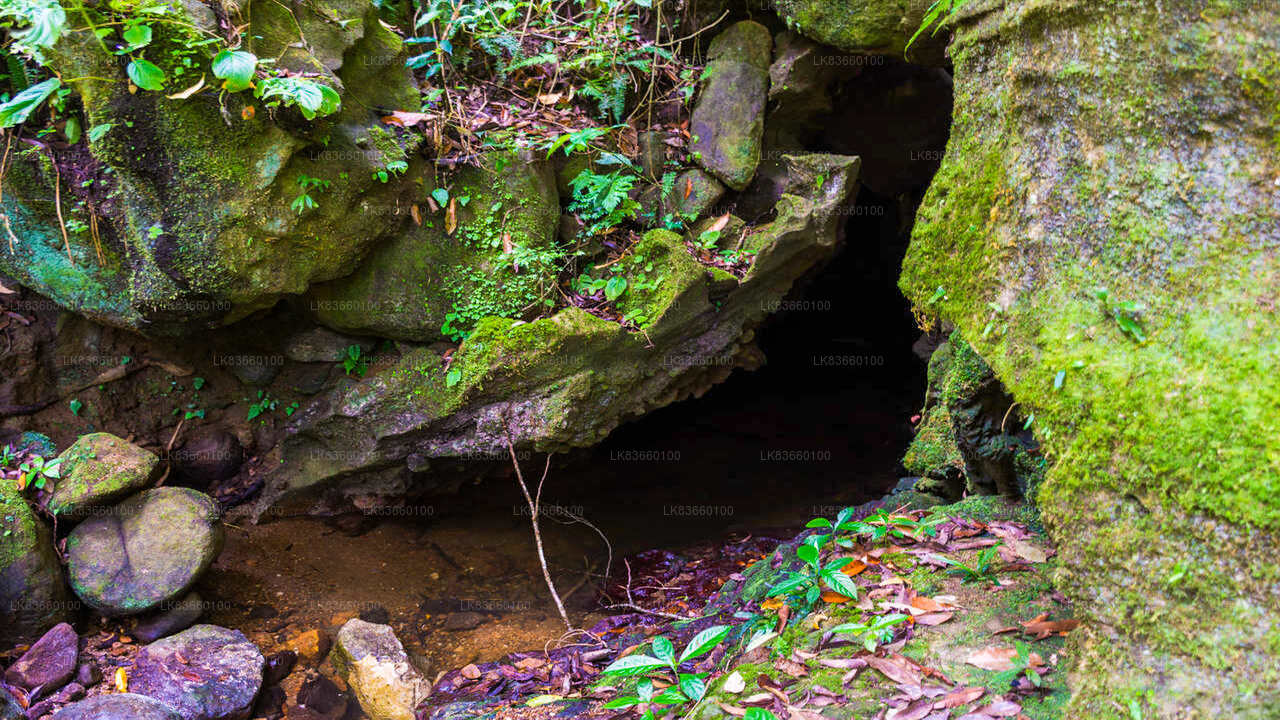 Explore Pannila Cave from Mount Lavinia