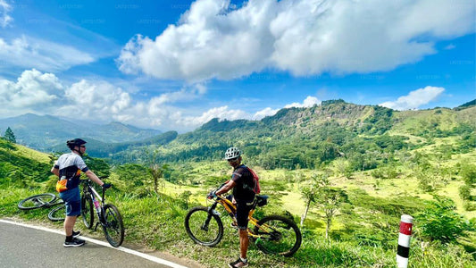 Nuwara Eliya Highlands Cycling Tour from Kandy