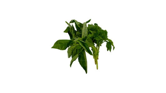 Lakpura Fresh Basil Leaves