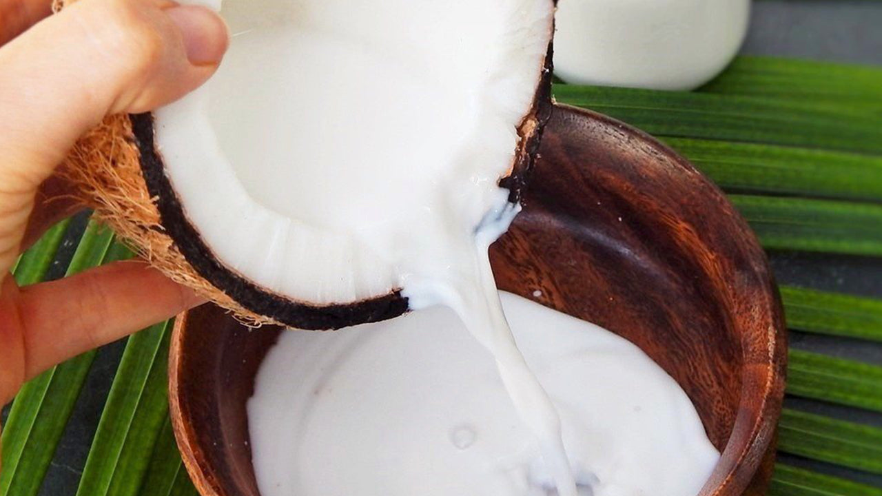 Organic Coconut Milk (400ml)